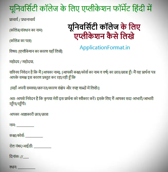 university application format in hindi